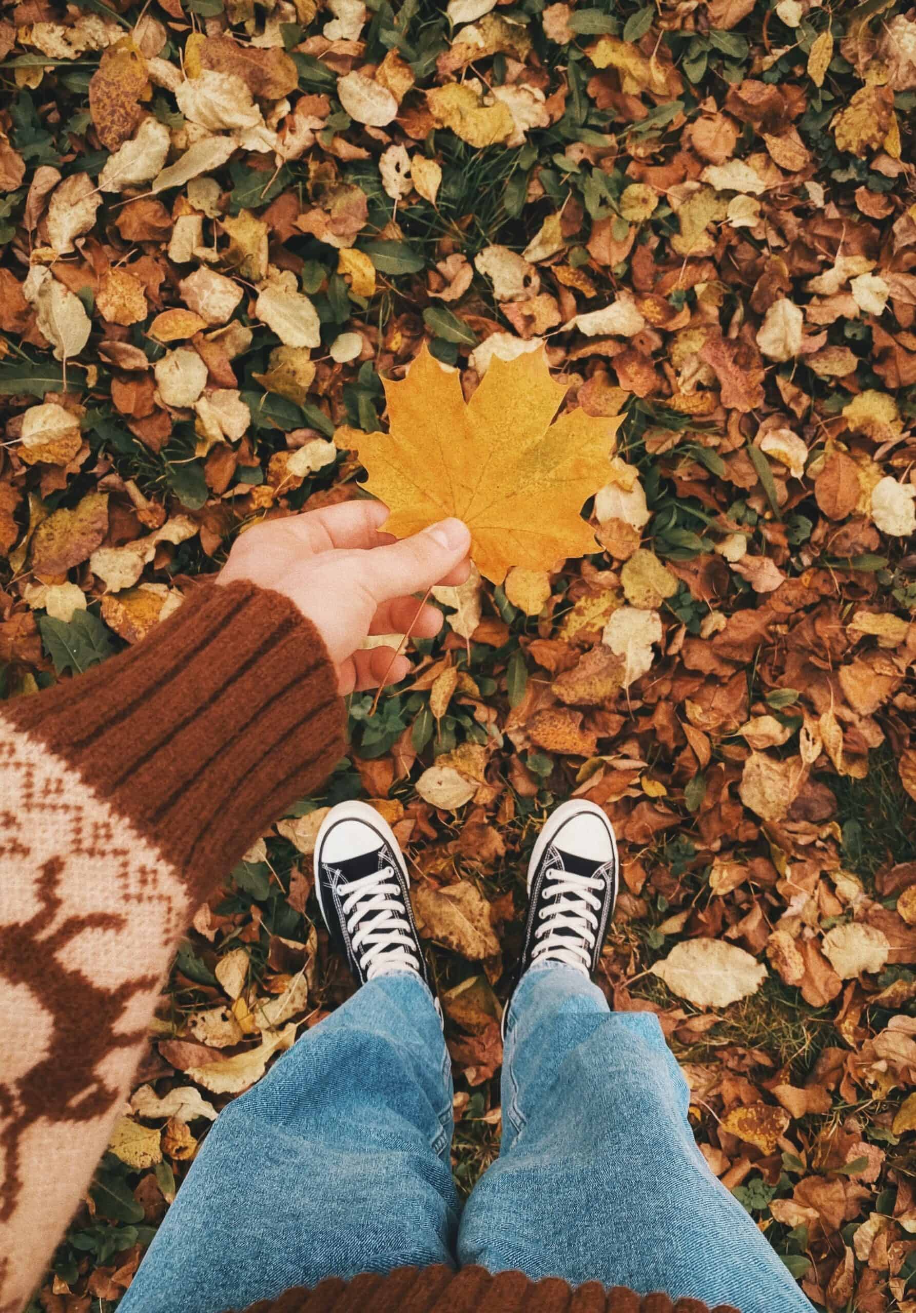 Autumn walks