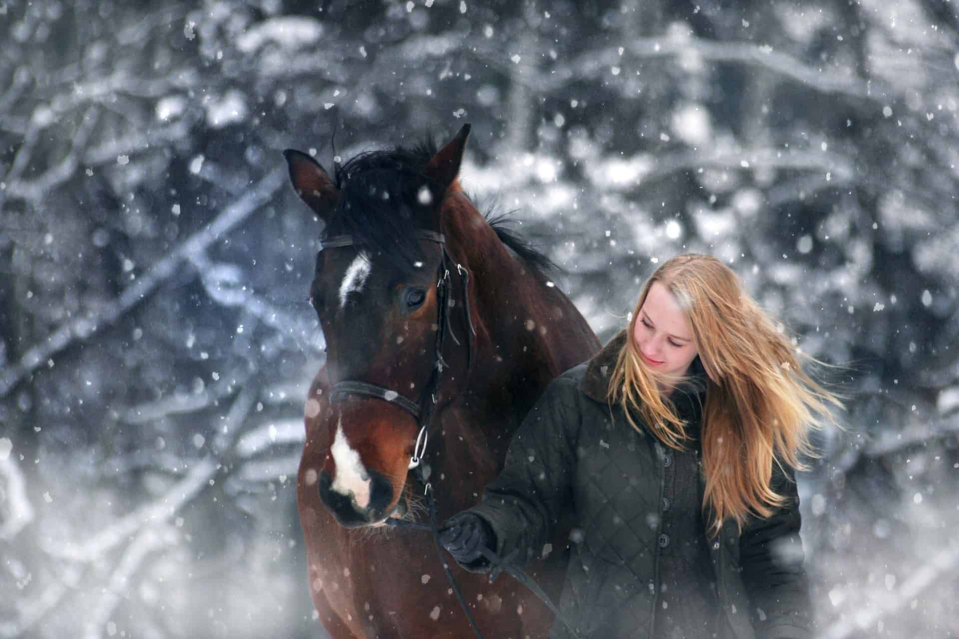 winter horse walk
